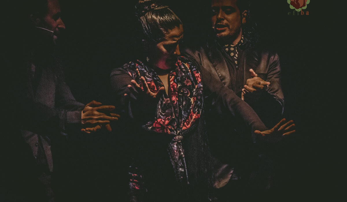 Ciclo de Tablao flamenco