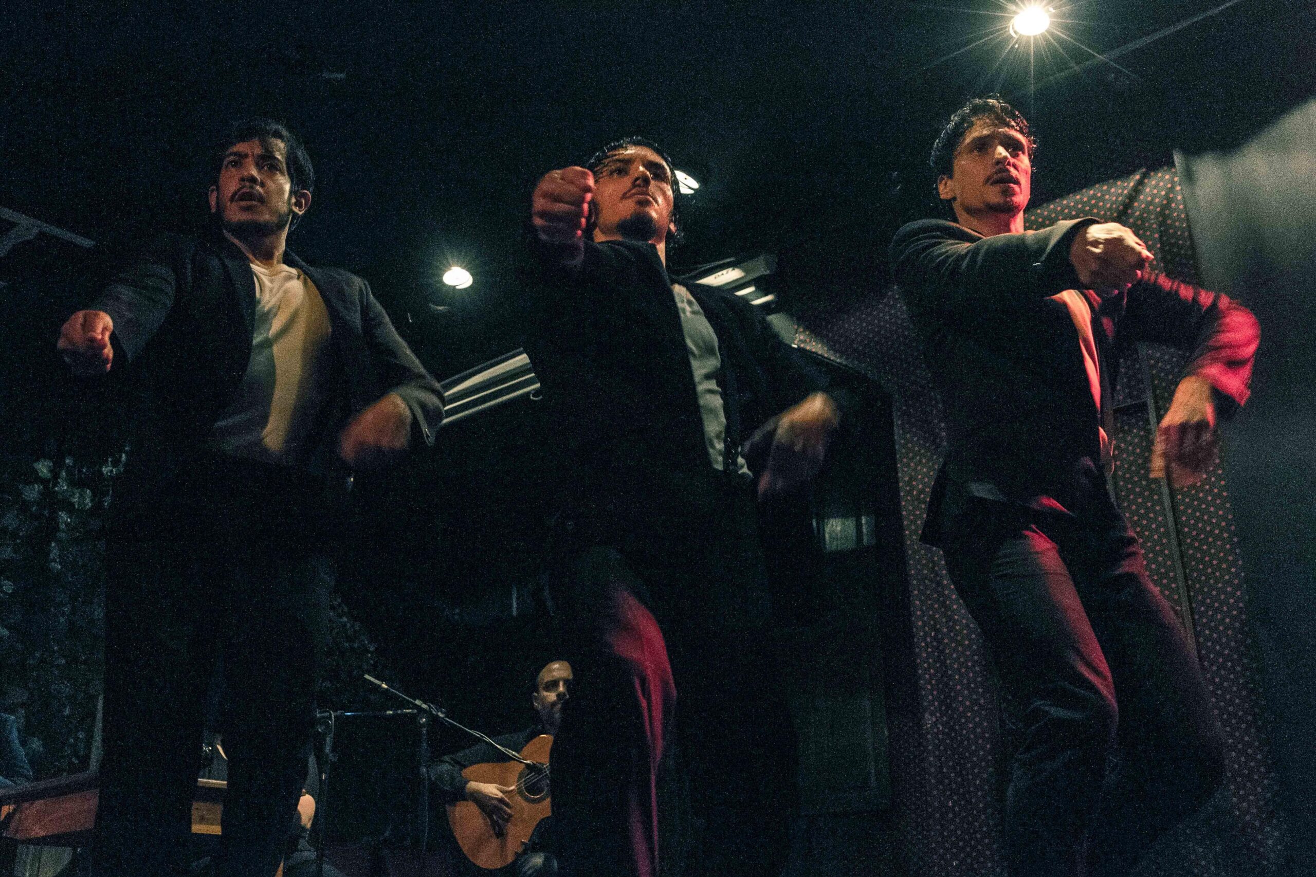 Lee más sobre el artículo Tablao Flamenco