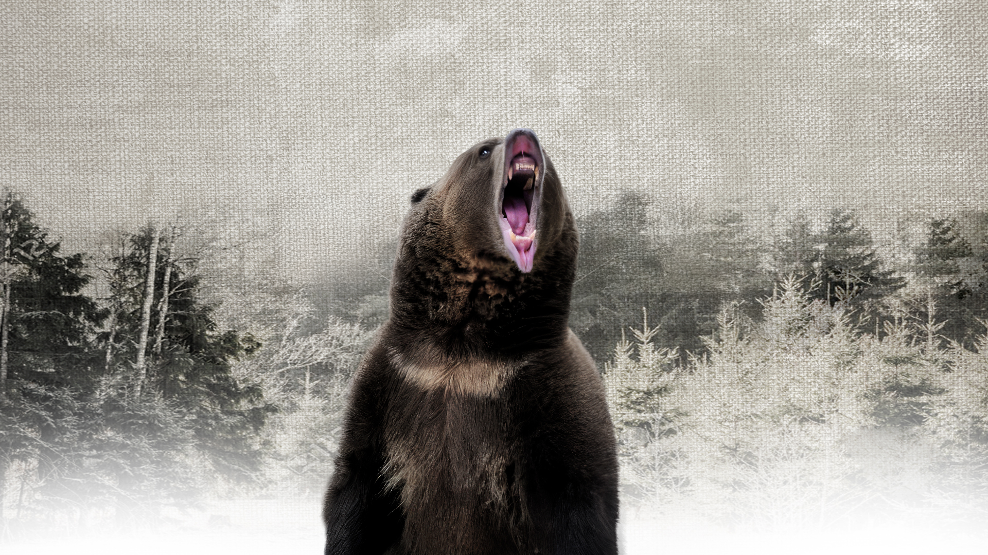 Lee más sobre el artículo Como bestias