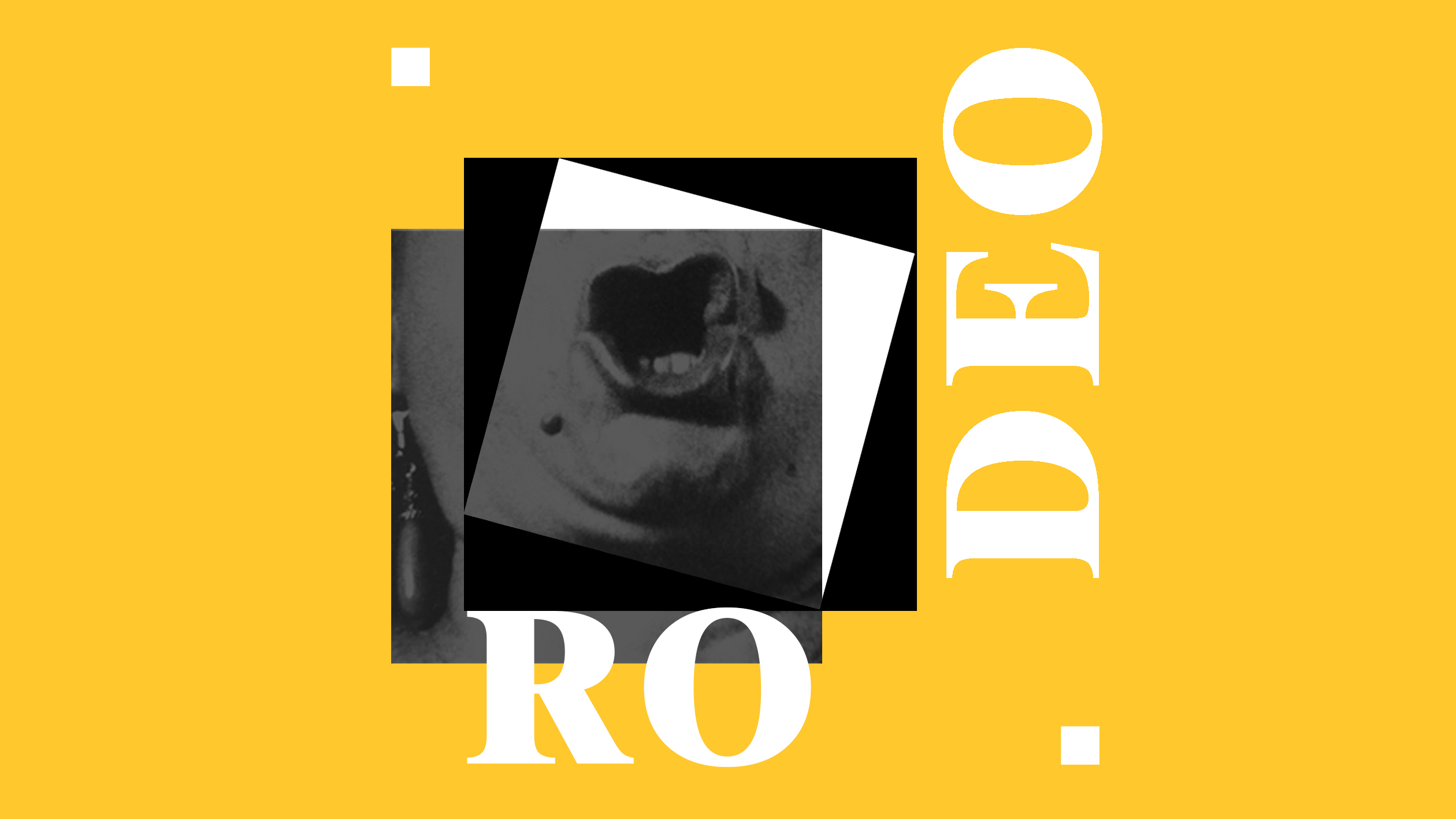 Lee más sobre el artículo RODEO, el ciclo / VIERNES FLAMENCOS EN HASTA TRILCE